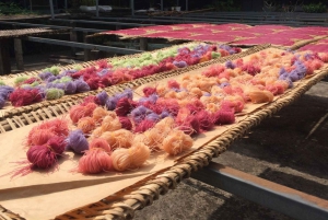 Au départ de Saigon : visite à la journée du delta du Mékong - marché flottant et îlot