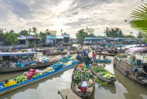 Au départ de Saigon : visite à la journée du delta du Mékong - marché flottant et îlot