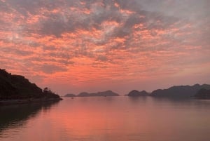 キャットバ発：日没とともに生物発光プランクトンカヤックツアー