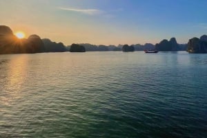キャットバ発：日没とともに生物発光プランクトンカヤックツアー