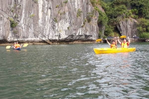 From Cat Ba Island:National Park full day trekking& kayaking