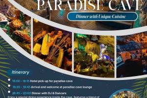 Depuis l'île de Cat Ba : dîner unique dans une grotte et spectacle de DJ