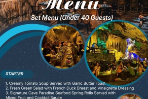 Depuis l'île de Cat Ba : dîner unique dans une grotte et spectacle de DJ