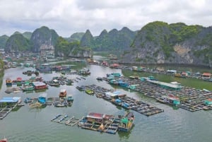 Cat Ba/Hanoi: Lan Ha ja Monkey Island -koko päivän veneretki