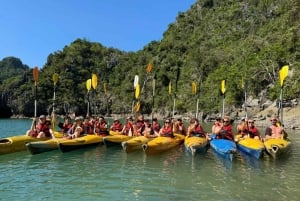 From Cat Ba: Lan Ha Bay Day Cruise with Kayaking and Lunch
