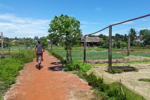 From Chan May Port: Da Nang and Hoi An Private Day Tour