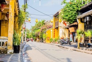 From Chan May Port: Hoi An Ancient Town Private Tour