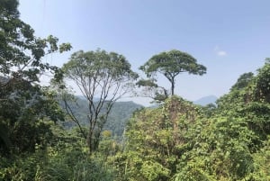 From Da Nang: Bach Ma National Park Trekking