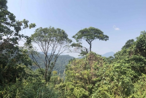 From Da Nang: Bach Ma National Park Trekking