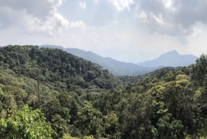 From Da Nang: Bach Ma National Park Trekking