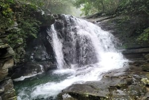Von Da Nang oder Hoi An aus: Bach Ma National Park Trek & Mittagessen