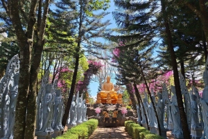 From Dalat: Hidden Nature & Cultural Gems of the Highlands