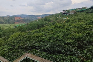 From Dalat: Hidden Nature & Cultural Gems of the Highlands