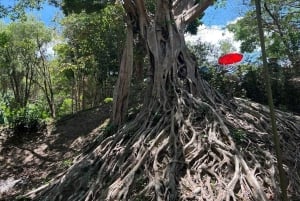 From Dalat: Hidden Nature & Cultural Gems of the Highlands