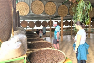 From Dalat: Hidden Nature & Cultural Gems of the Highlands