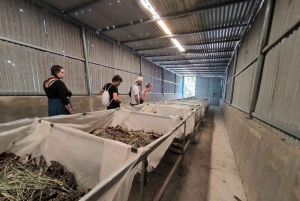 From Dalat: Hidden Nature & Cultural Gems of the Highlands