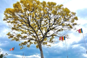 From Dalat: Hidden Nature & Cultural Gems of the Highlands