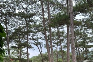 From Dalat: Hidden Nature & Cultural Gems of the Highlands