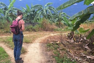 Au départ de Hà Giang : voyage de 7 jours pour les vacances de printemps