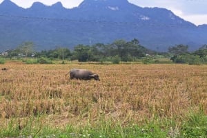 Au départ de Hà Giang : voyage de 7 jours pour les vacances de printemps