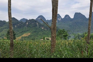 Au départ de Hà Giang : voyage de 7 jours pour les vacances de printemps