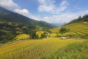 Au départ de Hà Giang : voyage de 7 jours pour les vacances de printemps