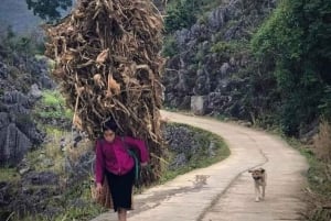 Au départ de Hà Giang : voyage de 7 jours pour les vacances de printemps