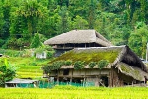 Au départ de Hà Giang : voyage de 7 jours pour les vacances de printemps