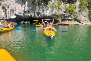 Z Ha Noi: 3-dniowa Lan Ha Bay, Ninh Binh wycieczka w małej grupie