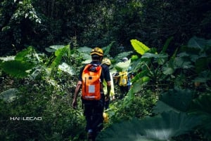 Au départ de Hanoï : aventure dans la grotte de Cha Loi avec train de nuit