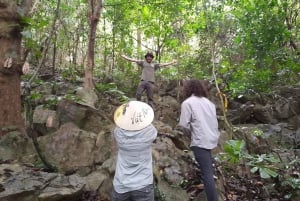 Från Ha Noi: Cuc Phuong National Park Heldag Liten Grupp