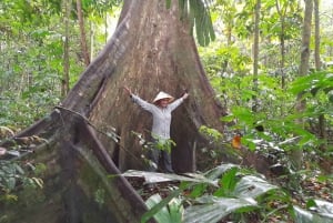 De Ha Noi: Parque Nacional Cuc Phuong Grupo pequeno de dia inteiro