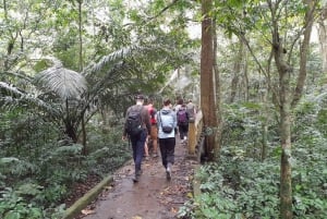 Fra Ha Noi: Cuc Phuong Nationalpark Heldags Lille Gruppe