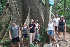 Ha Noista: Cuc Phuongin kansallispuisto Koko päivän pieni ryhmä