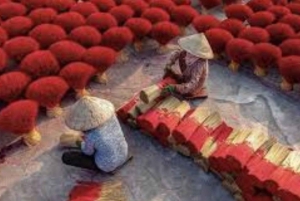 Hanoi:Private Tour Quang Phu Cau Incense Village,local lunch