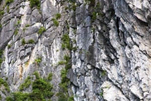 From Halong: 2 Days / 1 night with Halong - Lan Ha tour