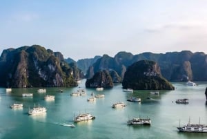 Do porto de cruzeiros de Halong: Passeio de barco de 4 horas pela Baía de Ha Long
