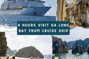 Do porto de cruzeiros de Halong: Passeio de barco de 4 horas pela Baía de Ha Long
