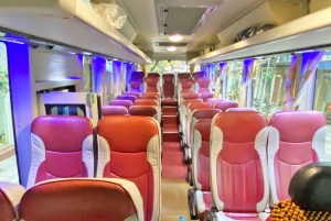 Da Hanoi: tour di Ninh Binh di 1 giorno con pranzo