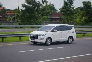 Depuis Hanoi : 1 journée en voiture privée pour le village de l'encens et Ninh Binh