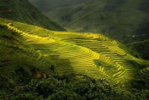 From Hanoi: 1-day Sapa Trekking Tour With Overnight Bus