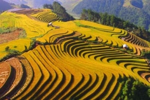 From Hanoi: 1-day Sapa Trekking Tour With Overnight Bus
