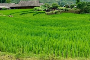 From Hanoi: 1-day Sapa Trekking Tour With Overnight Bus