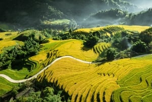 From Hanoi: 1-day Sapa Trekking Tour With Overnight Bus
