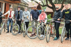 From Hanoi: 1-Day Tour to Trang An, Mua Cave, and Ngoa Long