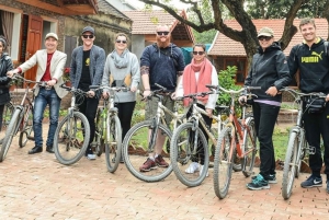 From Hanoi: 1-Day Tour to Trang An, Mua Cave, and Ngoa Long