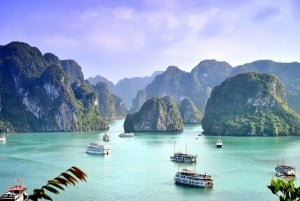 Ab Hanoi: 2-Tages-Tour zur Halong-Bucht mit Übernachtung
