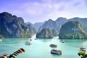 Från Hanoi: 2-dagars & 1 natts rundtur i Halong Bay