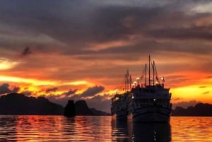 Vanuit Hanoi: 2-daagse Bai Tu Long Bay luxe cruise met jacuzzi