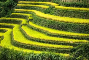 Från Hanoi: 2-dagars Mu Cang Chai- och Khau Pha Pass-tur